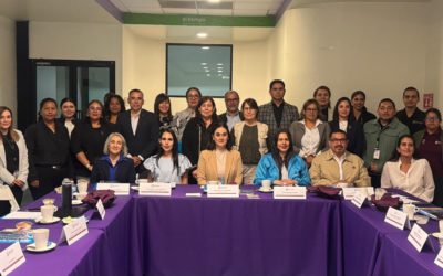 4ta MESA DE TRABAJO  “FUTURAS STEM”