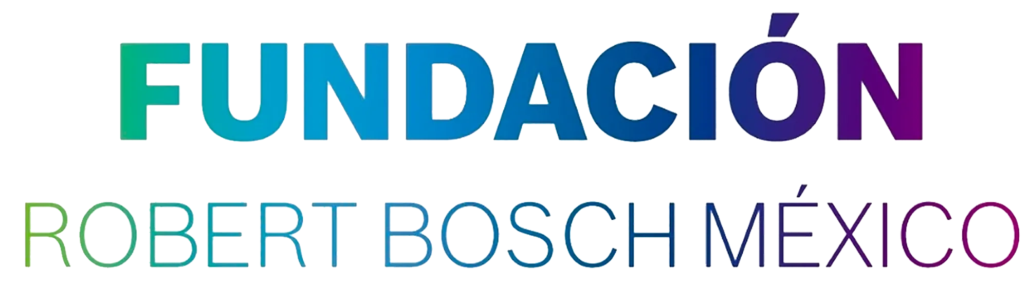 Fundación Robert Bosch México