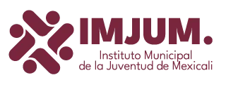 Instituto de la Juventud