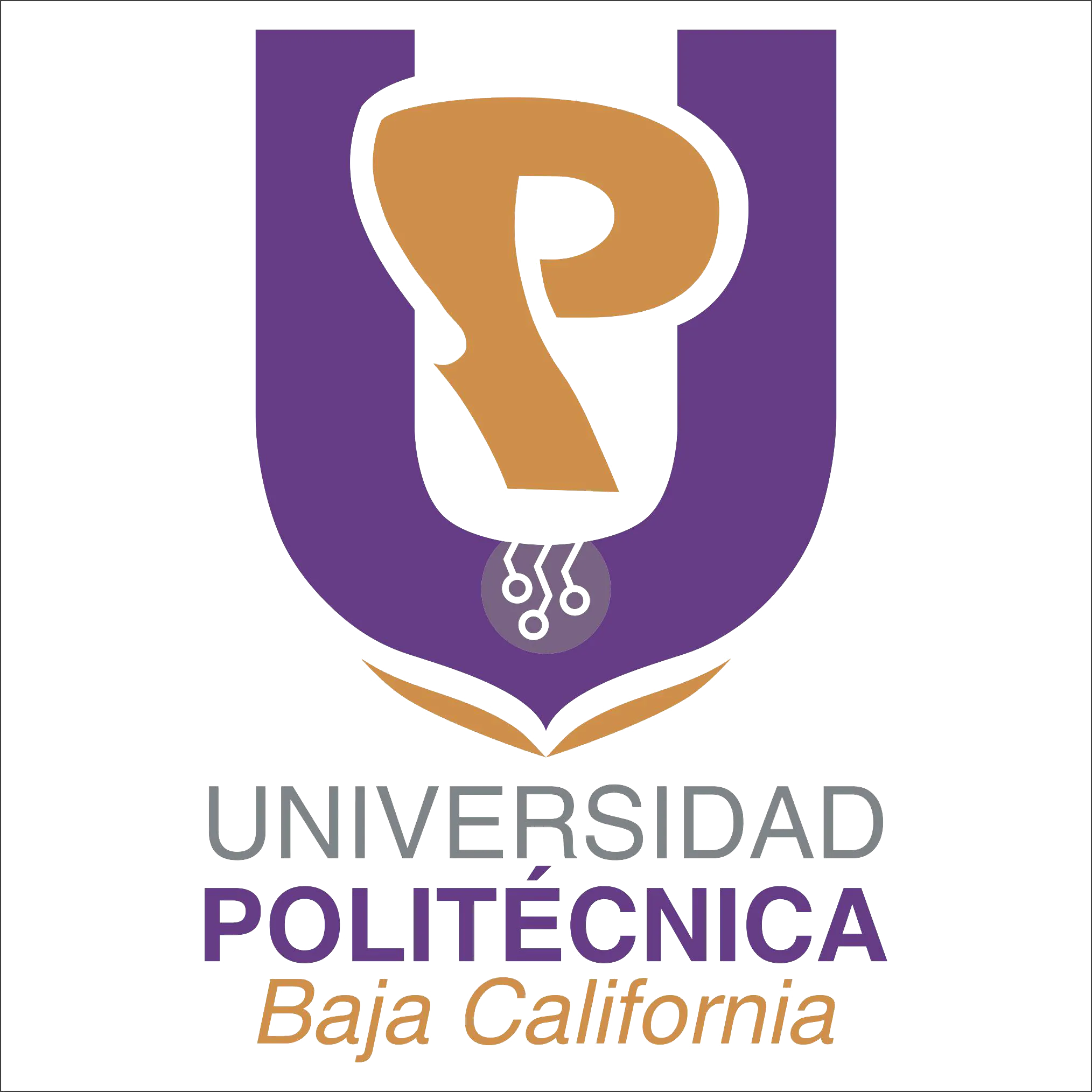 Universidad Politécnica de Baja California