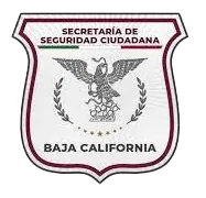 Prevención del Delito